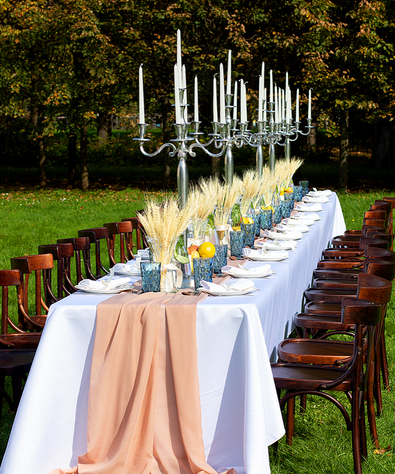 Дирижер вашего мероприятия